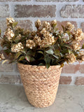 Cream Fall Floral Bush