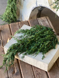 Soft Touch Cedar Draping Stem