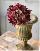 Empire Hydrangea
