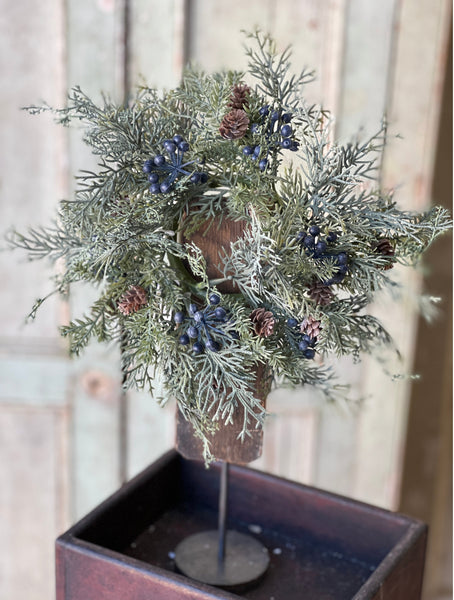 !0" Siberian Cypress wreath/candle ring